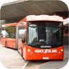 Articulated buses, Melbourne